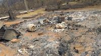 Kisah Sedih Suami Istri Meninggal Karena Kebakaran Hutan Amazon