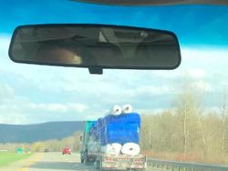 Kumpulan Foto yang Mengecoh Pada Pandangan Pertama