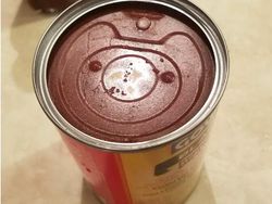 Kumpulan Foto yang Mengecoh Pada Pandangan Pertama