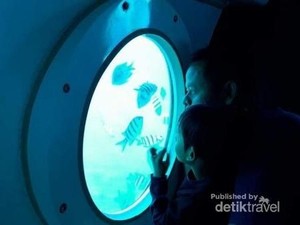 Kemenhub Guyur Rp 82 M buat Bikin Kapal yang Bisa Intip Bawah Laut