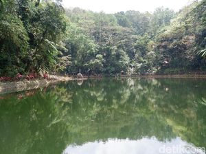 Foto: Perang Menyeramkan Pernah Terjadi di Rowo Bayu