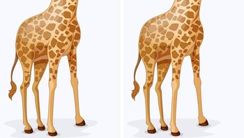 Jawabannya adalah yang sebelah kanan cuma ada satu tanduk. (Foto: Brightside)