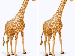 Temukan Perbedaannya! Asah Kejelian Mata dan Otak