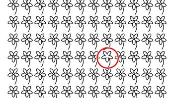 Ini jawabannya! Dari semua gambar kamu sudah berhasil jawab berapa? share di kolom komentar ya. (Foto: Brightside)