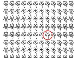 Temukan Perbedaannya! Asah Kejelian Mata dan Otak