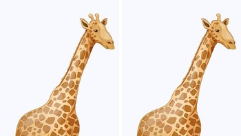 Sebutkan satu perbedaan dari Jerapah ini. (Foto: Brightside)