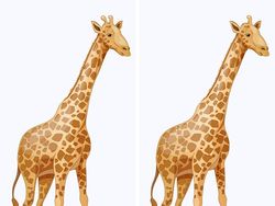 Temukan Perbedaannya! Asah Kejelian Mata dan Otak