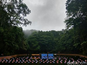 Rowo Bayu, Desa Penari dan Festival Hari Jadi Banyuwangi