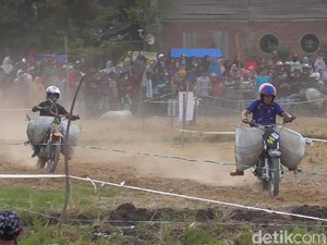 Rayakan Panen, Petani di Polman Balapan Motor Taxi Bawa Karung Gabah