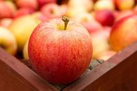 Makna 5 Makanan dan Minuman yang Sering Jadi Sesajen