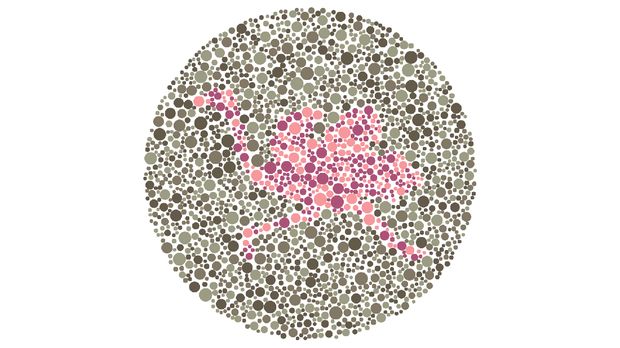 Tes buta warna tes buta warna siluet burung.