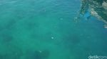 Foto: Bukan Akuarium, Ini Pelabuhan Berair Jernih di Kupang