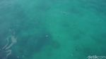 Foto: Bukan Akuarium, Ini Pelabuhan Berair Jernih di Kupang