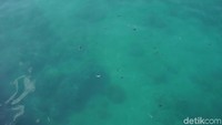 Begitu juga di Pelabuhan Tenau, kamu bisa melihat dasar laut dengan jelas dari atas dermaga. (Syanti/detikcom)