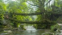 Mawlynnong, yang terletak di Bukit Khasi Timur di timur laut India. Wilayah ini dinobatkan sebagai Desa Terbersih di Asia oleh berbagai media (CNN)