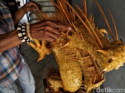 Taryana Ubah Limbah Tulang Ikan Jadi Karya Seni Keren