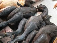 Makna 5 Makanan dan Minuman yang Sering Jadi Sesajen