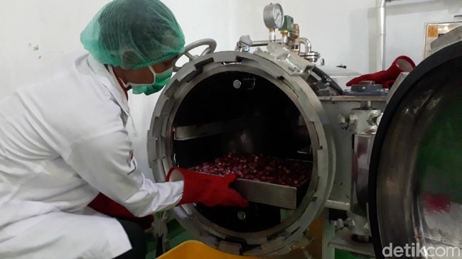 Harga Anjlok, Bawang Merah Dijadikan  Bumbu Pasta
