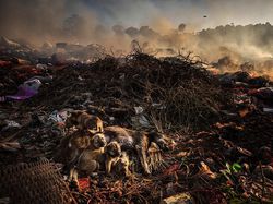 Foto Papua Karya Fotografer Indonesia Juara Nikon Photo Contest