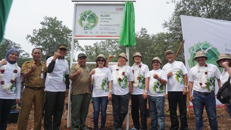 Restorasi Hutan, APP Sinar Mas dan NGO Jepang Tanam 10 Ribu Pohon Restorasi Hutan, APP Sinar Mas dan NGO Jepang Tanam 10 Ribu Pohon