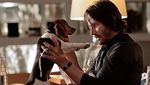 Dua Lipa, Prilly Latuconsina, Keanu Reeves hingga Zara eks JKT48