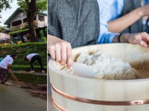 Unik! Di Desa Ini Bisa Tukar Nyamuk Mati dengan Beras Gratis