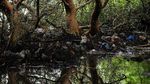 Kala Kemiskinan dan Sampah Plastik Ancam Kehidupan Manusia