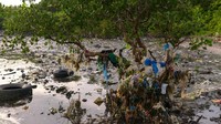 Isu mengenai penanggulangan sampah plastik jadi salah satu pembahasan yang terus dicari solusinya oleh berbagai negara di dunia, tak terkecuali di Filipina.