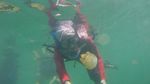 Lepas Rindu Berenang dengan Ubur-ubur Lewat Foto