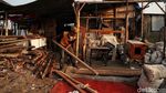 Jorok! Lautan Sampah Kepung Kampung Bengek Jakut