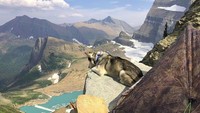Ini momen saat Sox berkunjung ke Glacier National Park di Montana, AS. (the_bike_dog/Instagram)