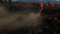 Petugas gabungan dari BPBD Kolaka Timur, Polres Kolaka dan Manggala Agni Daerah Operasi Sulawesi Tenggara memadamkan lahan gambut yang terbakar di Desa Wesalo, Kecamatan Lalolae, Kolaka Timur, Sulawesi Tenggara. ANTARA FOTO/Jojon.