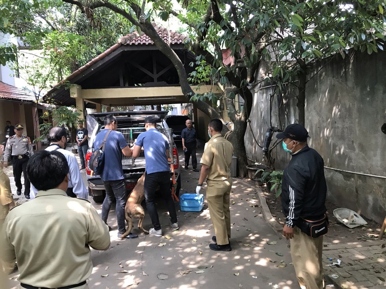 Anjing Malinois Yang Serang Pembantu Hingga Tewas Dibawa Sudin