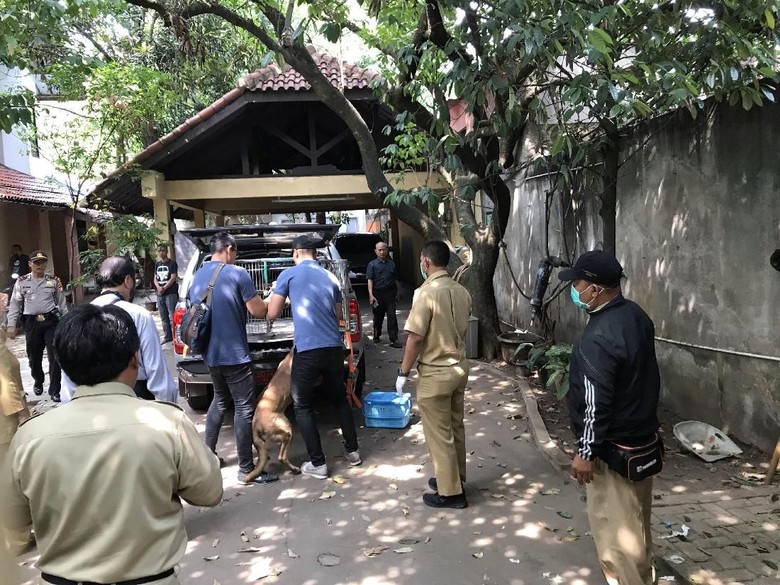 Anjing Serang Pembantu hingga Tewas, Polisi Dalami Dugaan Kelalaian Anjing Serang Pembantu hingga Tewas, Polisi Dalami Dugaan Kelalaian