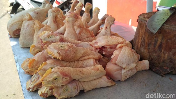 Harga Ayam Broiler Kembali Anjlok di Peternak