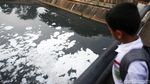 Busa Putih Kembali Cemari Aliran Kanal Banjir Timur