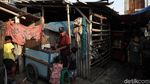 Jorok! Lautan Sampah Kepung Kampung Bengek Jakut