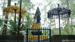 Foto Nuansa Mistis Rowo Bayu di Banyuwangi
