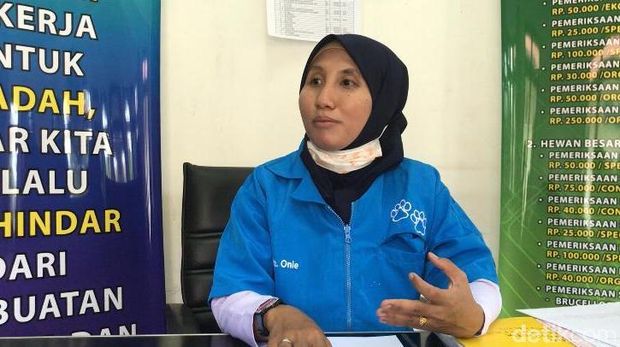 Diobservasi, Begini Kondisi Anjing Milik Bima Aryo yang Tewaskan ART