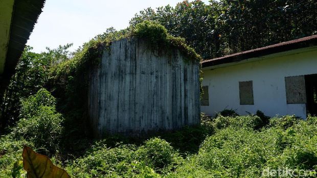 Penelusuran lokasi 'KKN di Desa Penari' di Banyuwangi terus dilakukan. Kali ini detikcom mendatangi kampung 'hilang' yang diduga lokasi Kuliah Kerja Nyata (KKN) itu.