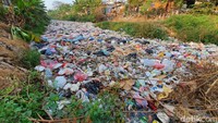 Tercium bau menyengat di sekitar lokasi. Lalat-lalat beterbangan. (Isal Mawardi/detikcom)