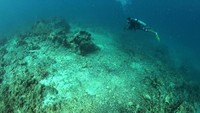 Catatan Lembaga Ilmu Pengetahuan Indonesia (LIPI), jumlah lokasi terumbu karang Spermonde yang tergolong baik menurun. (Ria Qorina/Green Peace)