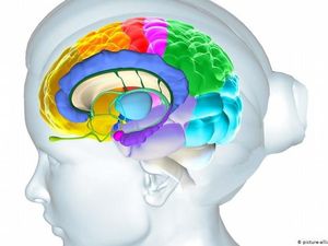 Ketika Kemampuan Bahasa Terganggu Akibat Stroke