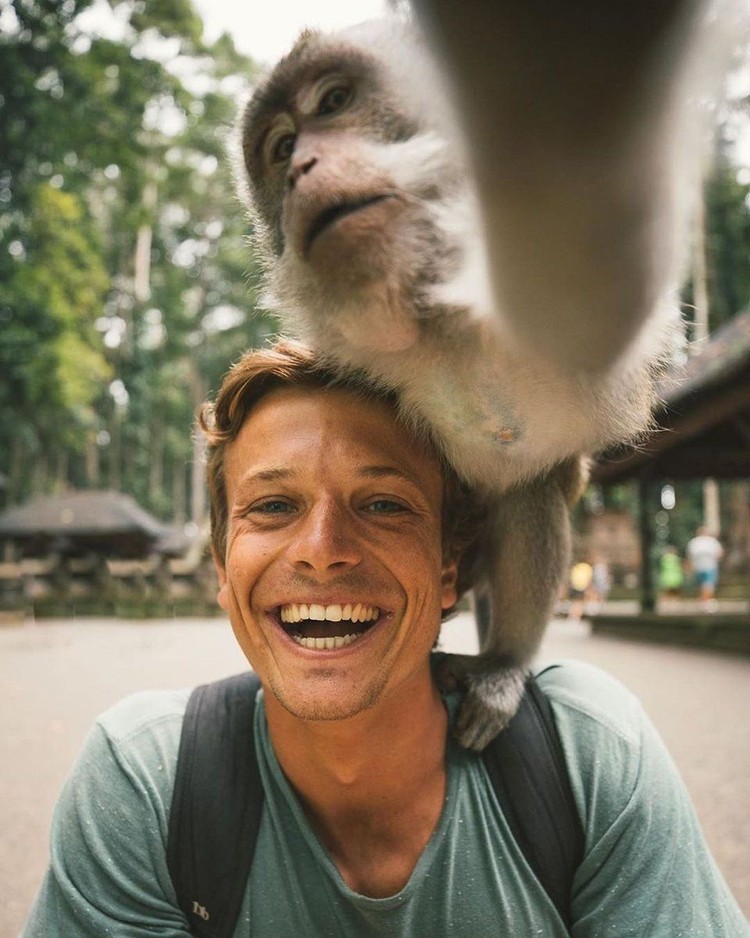 monyet selfie di bali