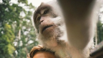 Hasilnya gemes banget, ya? Foto: giewahyudi/Twitter
