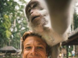 Momen Lucu Monyet Ikutan Foto, Photobomb yang Cute Abis!