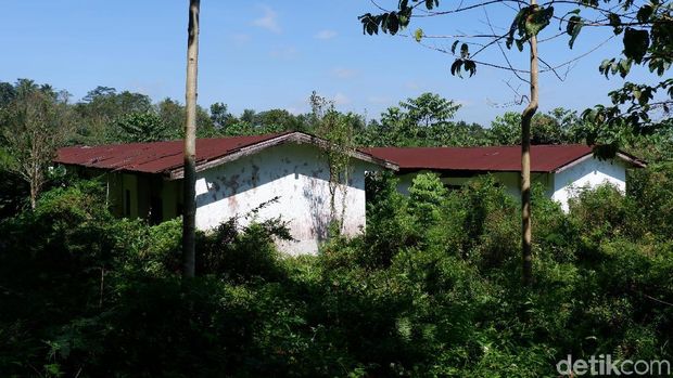 Penelusuran lokasi 'KKN di Desa Penari' di Banyuwangi terus dilakukan. Kali ini detikcom mendatangi kampung 'hilang' yang diduga lokasi Kuliah Kerja Nyata (KKN) itu.