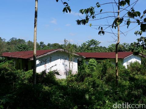 Kampung 'hilang' di Banyuwangi/