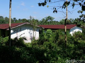 Ini Penyebab Kampung Hilang di Lokasi Diduga Tempat KKN Desa Penari