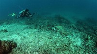 Sebuah kelompok pecinta lingkungan, Pembela Lautan Greenpeace Indonesia melakukan pendataan terhadap terumbu karang di Kepulauan Spermonde. (Ria Qorina/Green Peace)
